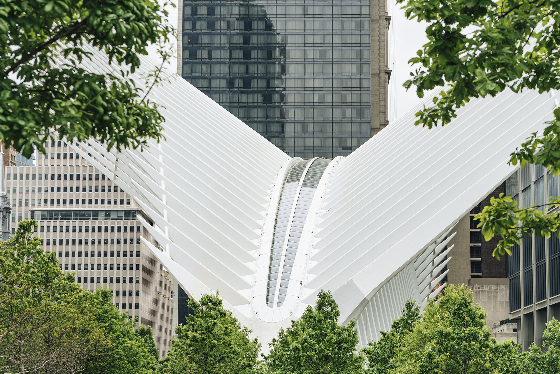 Oculus-New-York-siivet